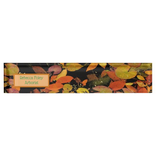 VALLEN VLOEIEN OP POND NAAMBORDJE (Voorkant)