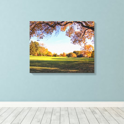 Vallen voor Iowa Canvas Print (Insitu (Houten vloer))