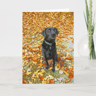 Vallen voor je Wenskaart Kaart