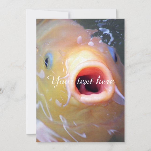 Vallen Zingend Geest Koi (Voorkant)