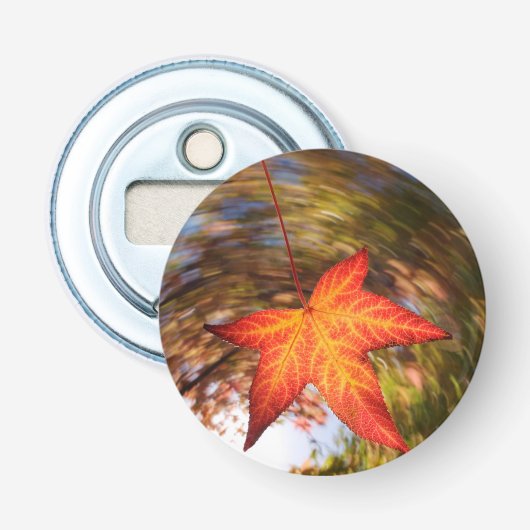 Vallend blad van een boom in de herfst button flesopener (Voorkant)
