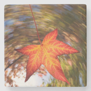 Vallend blad van een boom in de herfst stenen onderzetter