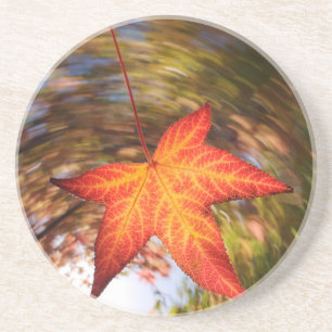 Vallend blad van een boom in de herfst zandsteen onderzetter