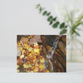 Vallende bladeren in de Natuur Waterval III Briefkaart (Staand voorkant)