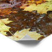 Vallende bladeren in de Natuur Waterval III Poster (Hoek)