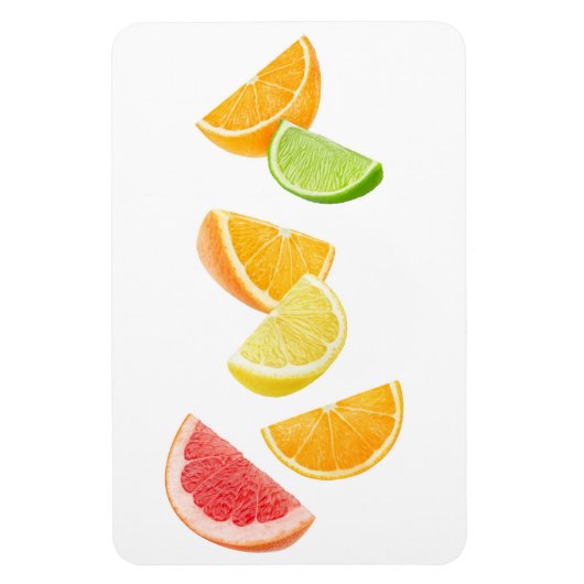 Vallende citrusschijfjes magneet (Verticaal)
