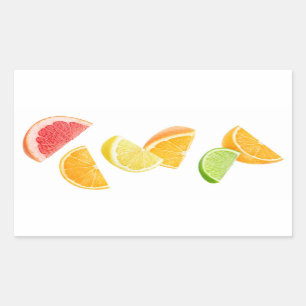 Vallende citrusschijfjes rechthoekige sticker