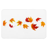 Vallende esdoornbladeren magneet (Horizontaal)