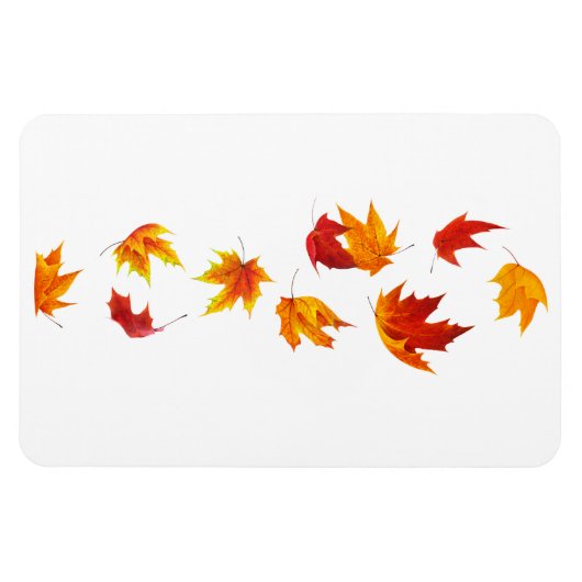 Vallende esdoornbladeren magneet (Horizontaal)