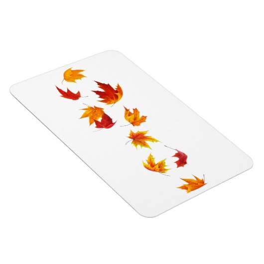 Vallende esdoornbladeren magneet (Rechterzijde)