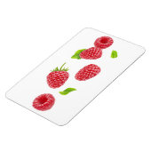 Vallende frambozen magneet (Linkerzijde)