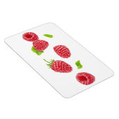 Vallende frambozen magneet (Rechterzijde)