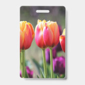 Vallende tulpen in vlammen badge (Achterkant)