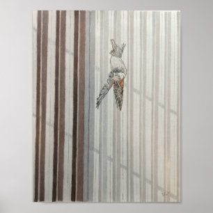 Vallende vogel poster