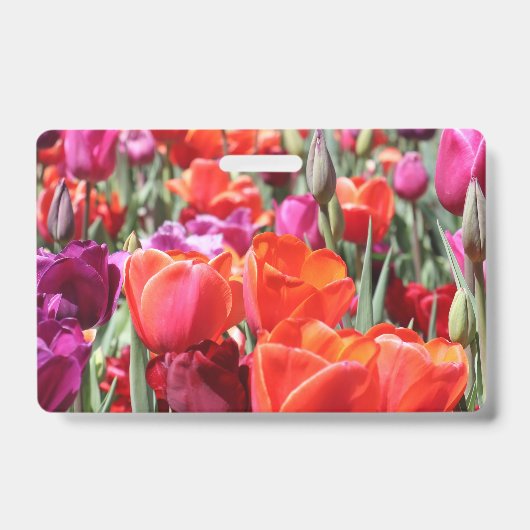 Vallende warme tulpen badge (Voorzijde)