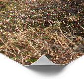 Valley bij Velarde New Mexico - Poster (Hoek)