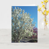 “Valley Blossoms” Kaart om Beterschap te Wensen (Gele Bloem)