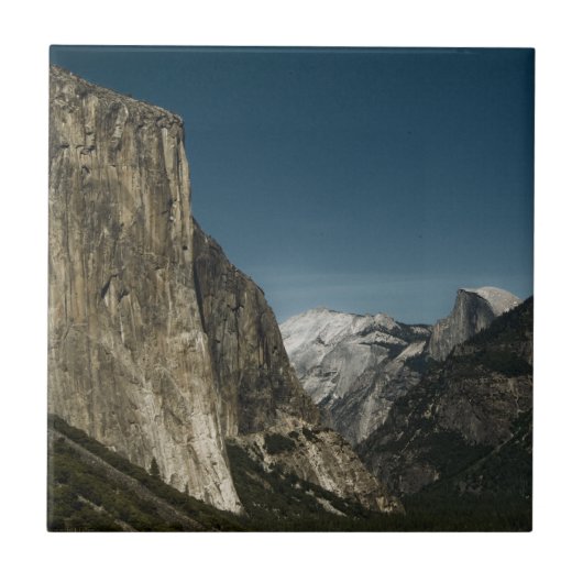 Valley Guardians Tegel Tegeltje (Voorkant)