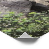 Valley Herfsten Poster (Hoek)