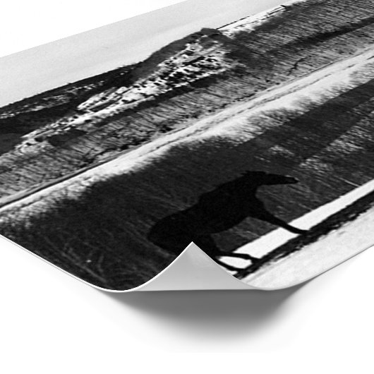 Valley Horses Poster (Hoek)