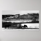 Valley Horses Poster (Voorkant)