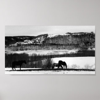 Valley Horses Poster
