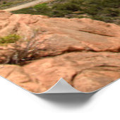 Valley in het Nationaal Park Zion Poster (Hoek)