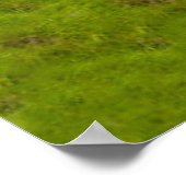 Valley in Walnut Creek, Ohio in Summer Poster (Hoek)