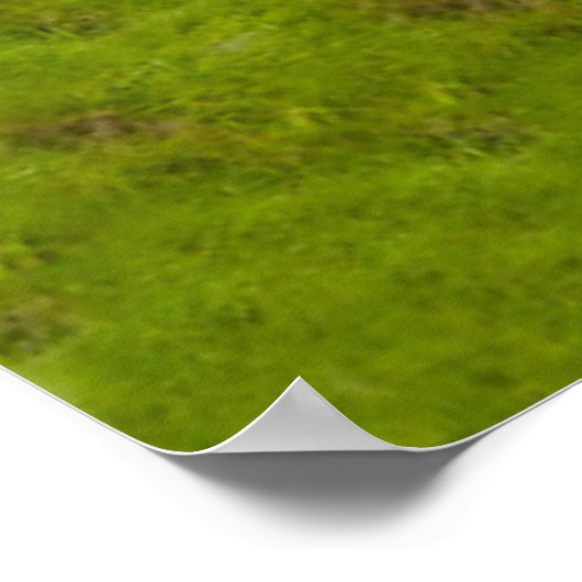 Valley in Walnut Creek, Ohio in Summer Poster (Hoek)