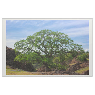 Valley Oak Tree Fabric Stof