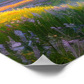 Valley of Colors Poster (Hoek)