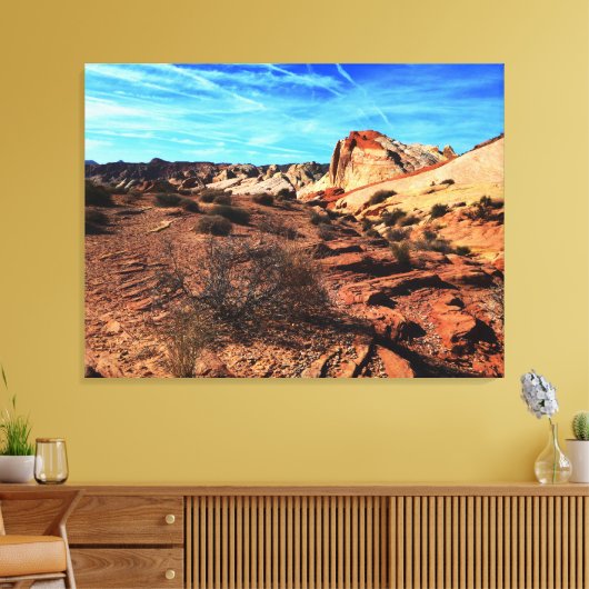 Valley of Fire Overton Nevada Landschap Canvas Afdruk (Insitu (Woonkamer))