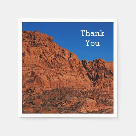 Valley of Fire  Servet (Voorkant)