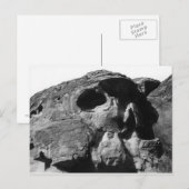 Valley of Fire Skull Rock Briefkaart (Voorkant / Achterkant)