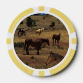 Valley of the Horses, Poker Chips (Voorkant)