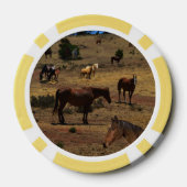 Valley of the Horses, Poker Chips (Achterkant)