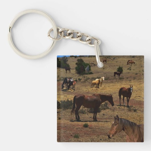 Valley of the Horses, Sleutelhanger (voorkant)