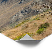 Valley Poster (Hoek)