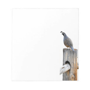 Valley Quail Photo Note Pad briefpapier Notitieblok