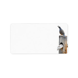 Valley Quail Photo Stationery adreslabel Etiket