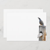 Valley Quail Photo Stationery Flat Note Kaart Notitiekaartje (Voorkant / Achterkant)