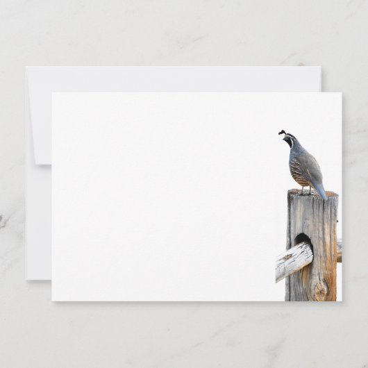 Valley Quail Photo Stationery Flat Note Kaart Notitiekaartje (Voorkant)