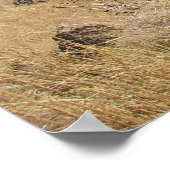 Valley Slope Poster (Hoek)