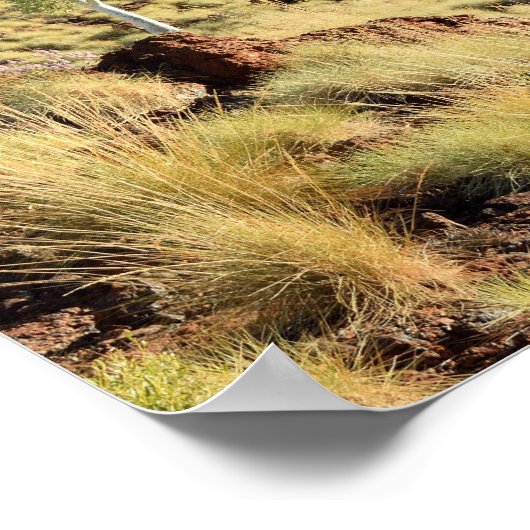 Valley Uitzichten Poster (Hoek)