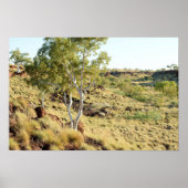 Valley Uitzichten Poster (Voorkant)