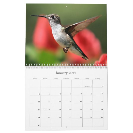 Valley Vision's Kalender (Jan 2027)