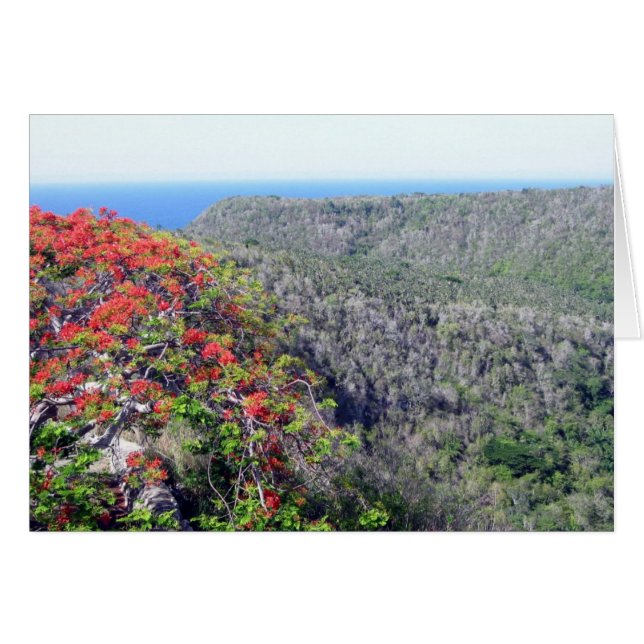 valleybacunayagua (Voorkant Horizontaal)