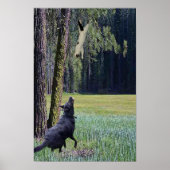 VALLING CAT POSTER (Voorkant)