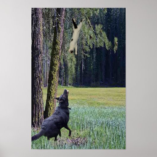 VALLING CAT POSTER (Voorkant)