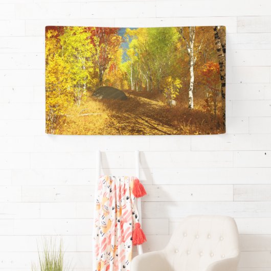 Valling Light Banner (Insitu)